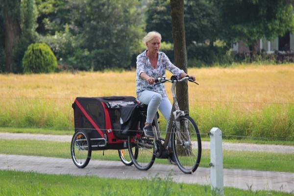 Afbeelding invoegen